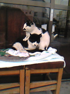 その2