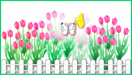 bd_tulip18.gif