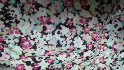 2011020616390003.jpg