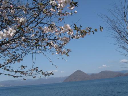 洞爺湖と桜.JPG