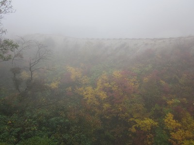 ニセコ紅葉