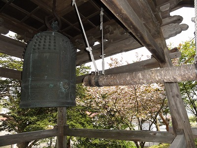 善光寺　有珠　桜