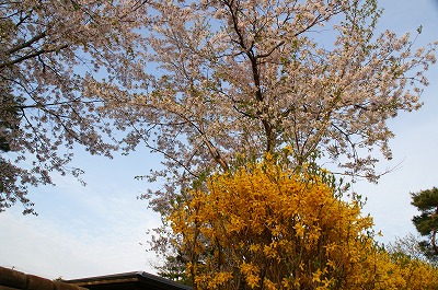 玉泉館　岩見沢