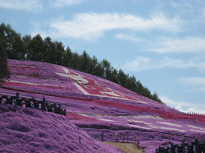 東藻琴　芝桜公園　