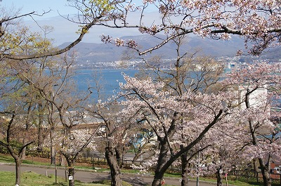 小樽　手宮公園　桜