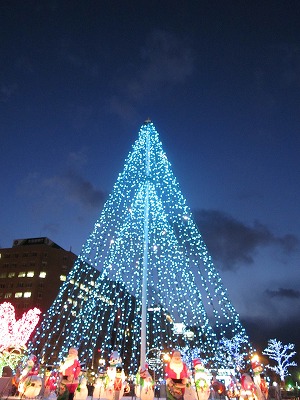 札幌大通り　クリスマス　ホワイトイルミネーション