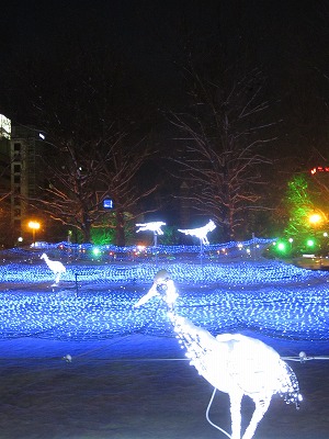 札幌大通り　クリスマス　ホワイトイルミネーション