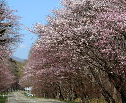 戸田記念墓苑