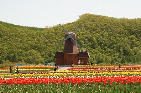 かみゆうべつチューリップフェア　上湧別町