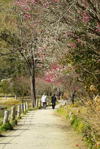 白水阿弥陀堂２
