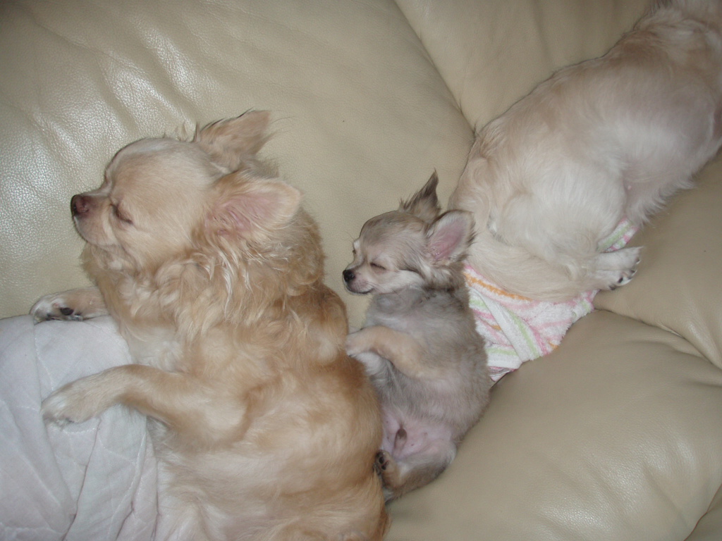 H21年6月～ 174.jpg