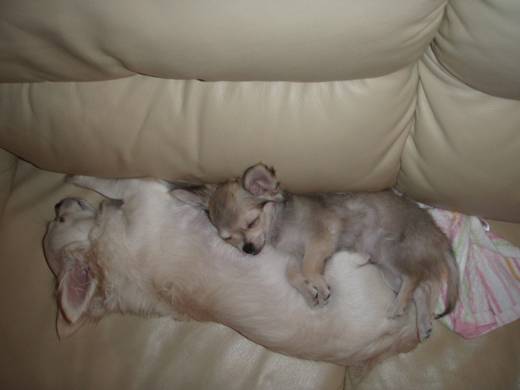 H21年6月～ 180.jpg