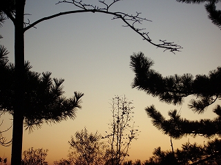 10-24夕焼け