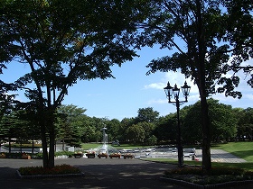 図書館の公園