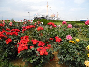 山下公園３