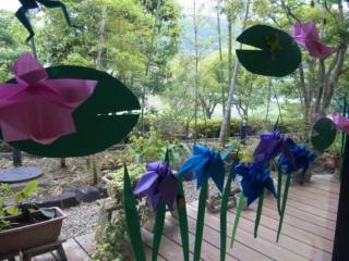 銀の湯の花菖蒲