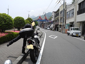 桜えび通り