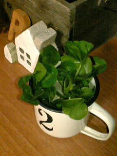 アラカンパーニュ