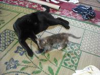 DSCF0551.JPG