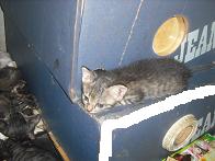 DSCF0616.JPG