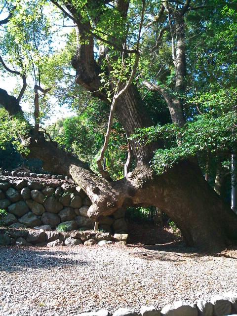 2010/12/25　三重県（伊勢神宮）