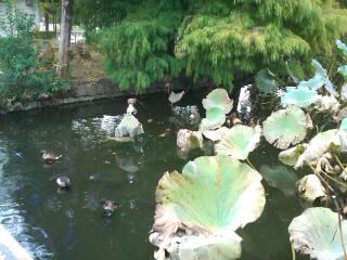 2010/11/14　上野公園