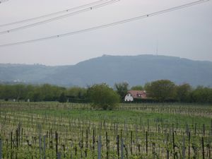 20110524_9.jpg