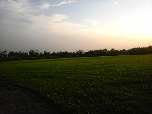 DVC00084.JPG