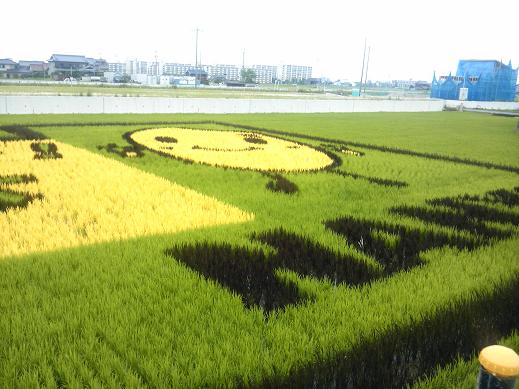 田んぼアート2.JPG