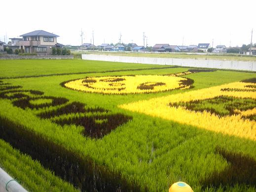 田んぼアート3.JPG