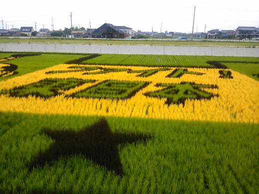 田んぼアート4.JPG