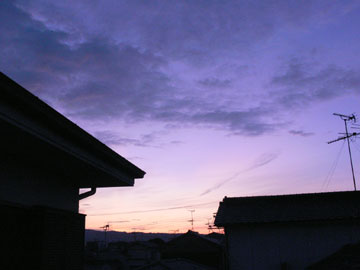 20110803-2.jpg