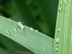 20110619-6.jpg