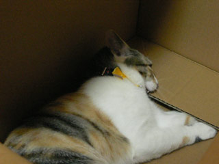 20110501-8.jpg
