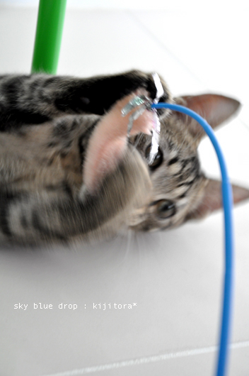 174.jpg