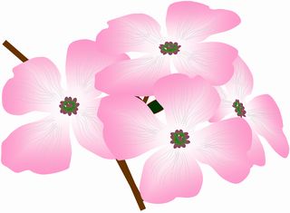 花の絵 | みっくす がーでん花館 - 楽天ブログ