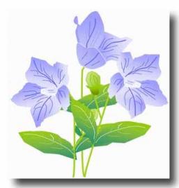 花の絵 | みっくす がーでん花館 - 楽天ブログ
