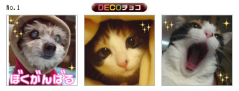 DECOチョコ