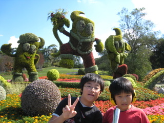 大きい！