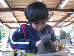 うさぎ