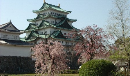 しだれ桜と名古屋城