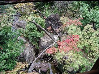 東山荘（庭園の紅葉）