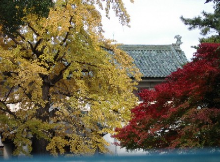 徳川美術館（２）