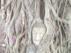 ワット・プラ・マハタート（１）