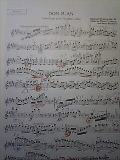 第92回 リヒャルト・シュトラウス／交響詩「ドン・ファン