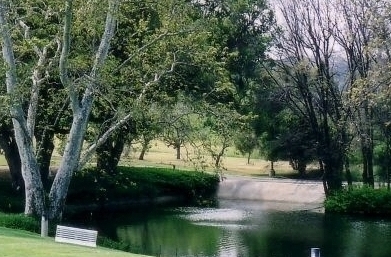 pond