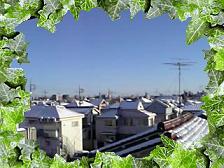 雪明け