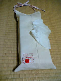 ティッシュケース２