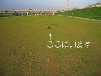 待て１