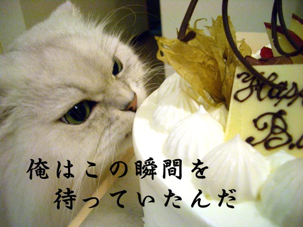 この瞬間を待ってたぜ